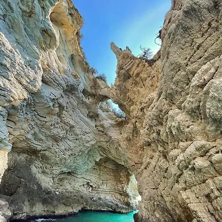 Dimora Il Tulipano