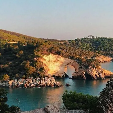 Pensión Dimora Il Tulipano Vieste