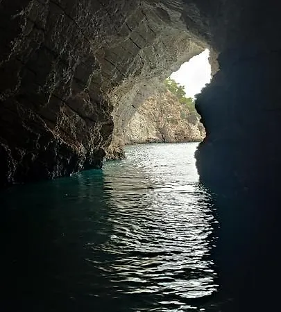 Dimora Il Tulipano * Vieste
